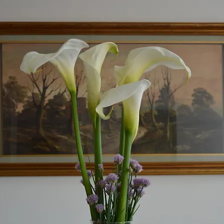 B&B Corte Monfardina 아드리아