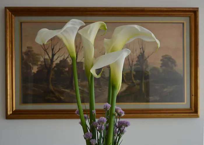 Bed & Breakfast Corte Monfardina Adria