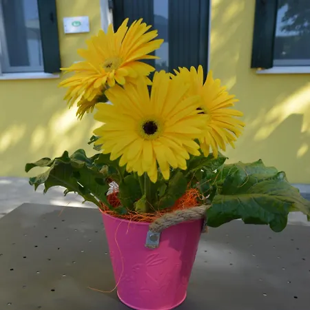 Bed & Breakfast Corte Monfardina