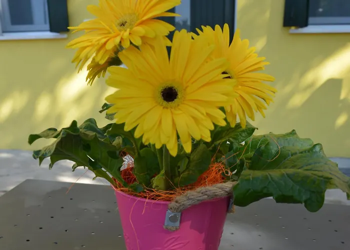 Frühstückspension Corte Monfardina